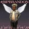 bryanwilliam945